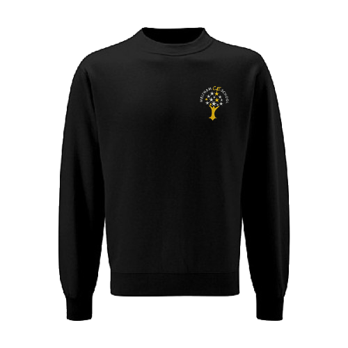 Sweatshirt 3SD-MCES