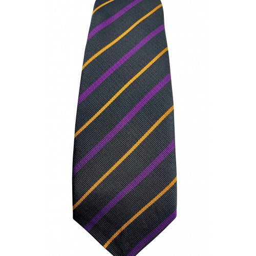 House Ties SNHS