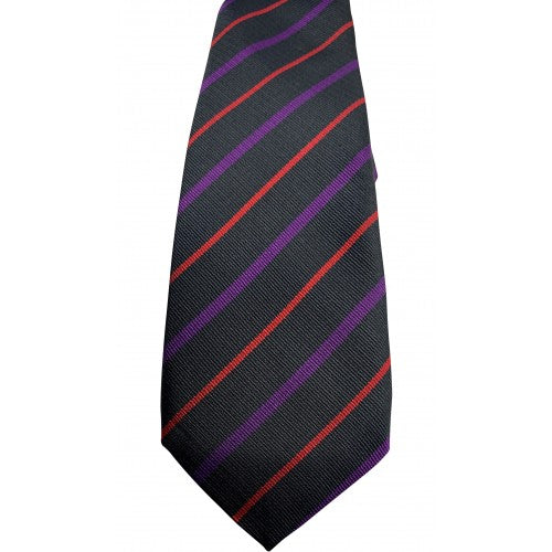 House Ties SNHS