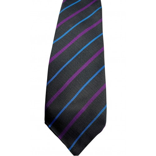House Ties SNHS