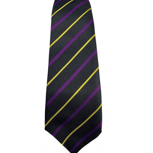 House Ties SNHS