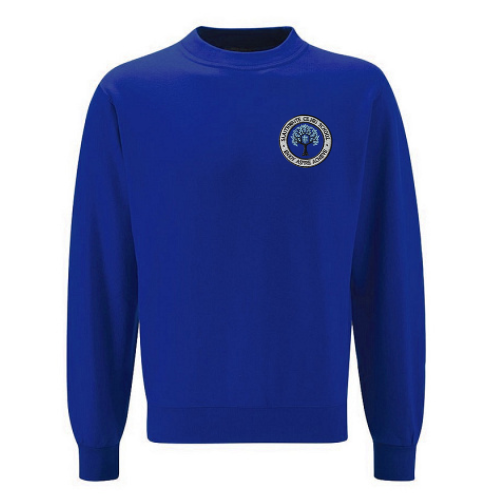Sweatshirt 3SD-SWCEPS