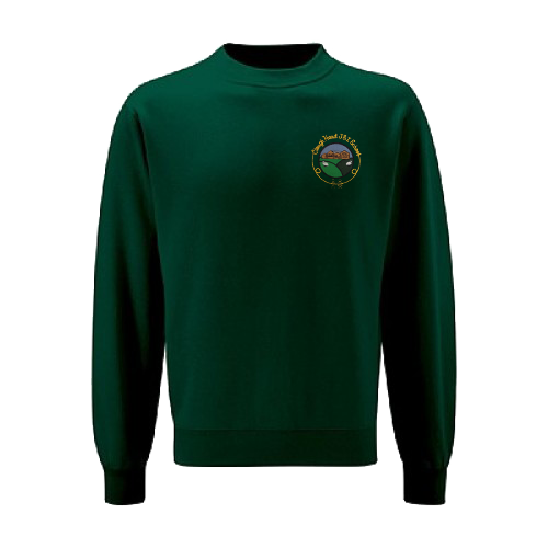 Sweatshirt 3SD-CHJIS