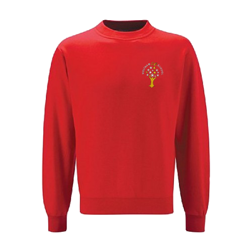Sweatshirt 3SD-MCES
