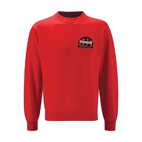 Sweatshirt 3SD-PJINS