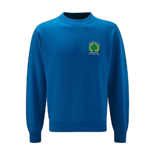 Sweatshirt 3SD-RIS