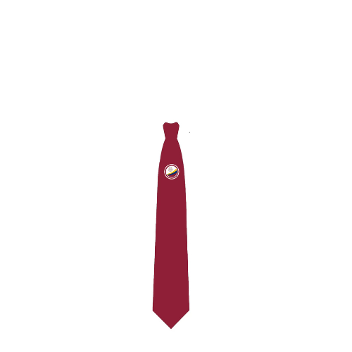 School Tie With Logo ( Year 7-11) CVHS/TS
