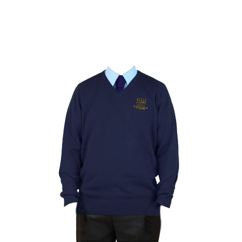 Navy V-Neck Pullover