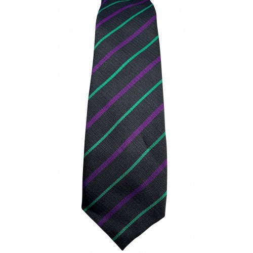 House Ties SNHS