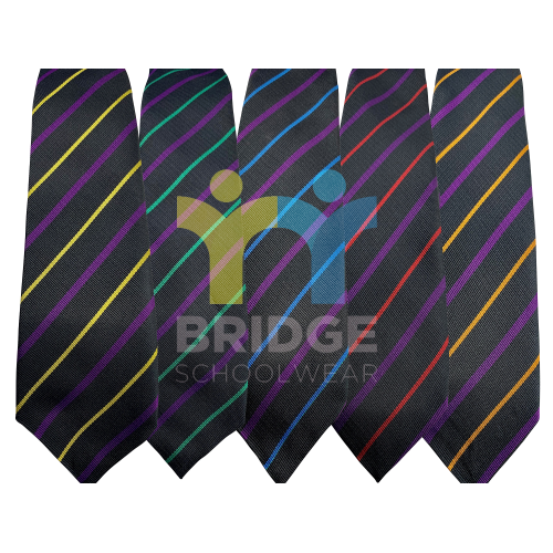 House Ties SNHS