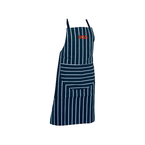 Domestic Science Apron