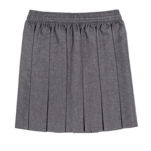 Box Pleated Skirt