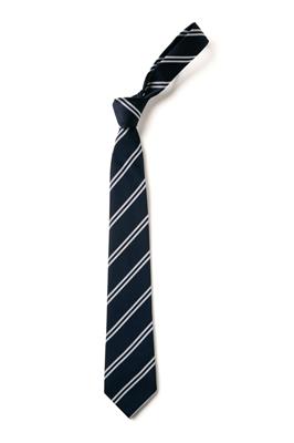 School Tie Year 8 RHHS