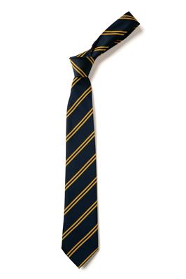 School Tie Year 9 RHHS